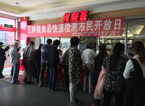 上海社區服務網與上海網絡服務公司的協同發展