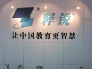上海釋銳網絡信息服務 深耕軟件產品與網絡服務的領先力量