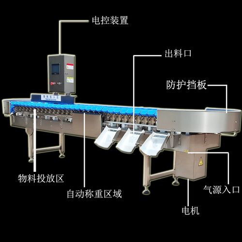 雞翅中重量分級機(jī)與雞產(chǎn)品自動分揀系統(tǒng) 革新家禽加工行業(yè)的高效解決方案